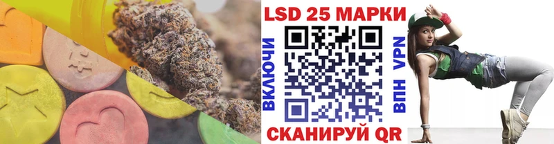 купить закладку  Фатеж  LSD-25 экстази ecstasy 