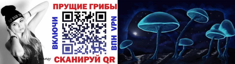 Псилоцибиновые грибы Cubensis  купить   Фатеж 